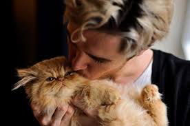 Maybe you would like to learn more about one of these? Cacing Dalam Kucing Disebarkan Kepada Manusia Pencegahan Jangkitan Dan Rawatan Cacing Dalam Kucing