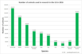 us statistics speaking of research