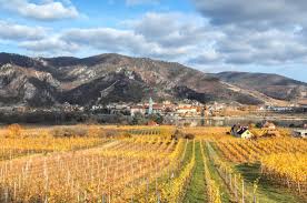 Auch in der kühleren jahreszeit ist dieser panoramaweg sehr reizvoll. Aussichtsreiche Wanderung Zur Smaragdeidechse Stephan Schmatz