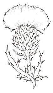 10 Awesome Blue Thistle Drawing Images Thistles Art Flower Drawing Thistle Flower Tattoo Scotch thistle, cotton thistle, heraldic thistle, woolly thistle. 10 awesome blue thistle drawing images