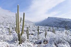 Arizona Benson Photo Album Topix Snow In Arizona Arizona Snow