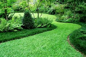 Healthy green lawn maintained with natural organic fertilization