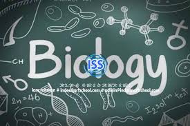 Soal try out un 2012 sma biologi (paket 17) soal try out un 2012 sma biologi (paket 18) yang lain akan segera diupload.!! Download Prediksi Soal Unbk Sma Jurusan Ipa Tahun 2020 Beserta Jawaban Mapel Biologi Indo Smart School
