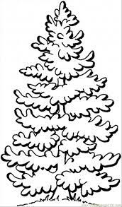 We found for you 15 pictures from the collection of trees coloring evergreen tree! Coloring Pages Pine Tree 1 Natural World Trees Free Raskraski Rozhdestvenskie Cvety Rozhdestvenskie Raskraski