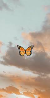 You can also upload and share your favorite laptop aesthetic wallpapers. Pastel Wallpaper Aesthetic Butterfly Wallpaper Novocom Top