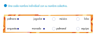 Resultado de imagen de nombres individuales y colectivos 2o primaria