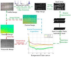 Sensors Free Full Text A Classification Method For Seed