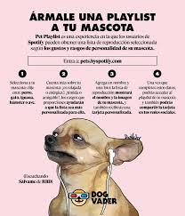 Spotify just launched specialized playlists and podcasts for pets. Dogvader De Acuerdo Con Un Estudio De Spotify 8 De Cada 10 Usuarios Considera Que A Sus Mascotas Les Gusta La Musica Ig Instagram Com Soy Dogvader Facebook