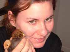 Ameraucana Breeders Club