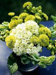 Using Chartreuse In The Garden Beautiful Bouquet Hydrangea Not Blooming Chartreuse Wedding
