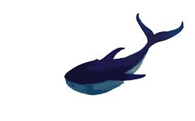 鯨魚 whale baleine nike logo art bird