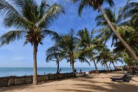 11,172 likes · 10 talking about this · 11 were here. Vue Sur Mer Picture Of Tama Lodge Mbour Tripadvisor