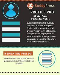 Buddypress Profile Pro Https Redd It 80fcpd One Of The Heavily Requested Features By Buddypress Community Was The Ability To Add Website Design Profile Ads