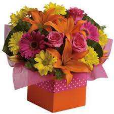 Search by commute time, see big photos, maps, and street views. Main Home Flowers R Us