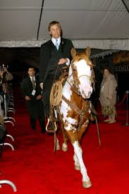 Animals On Red Carpet Funny Celeb Pictures Horses Animals Beautiful Horses
