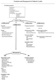 Medical Student Curriculum Pediatric Urinary Tract