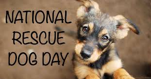 2 days ago · national dog day 2021: National Rescue Dog Day Ways To Celebrate And Shelter Dog Facts