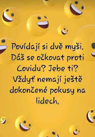 Navíc se prý očkovat ani nechtěla. Pin By Jitka Syslova On Napady In 2021 Humor Jokes Lol
