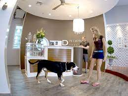 Hotel in pocono summit with free breakfast and pets not allowed (service animals welcome). Pet Hotel Near Me The Y Guide