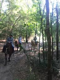 Indulge in a true equestrian escape. Cactus Jack S Trail Rides 11100 Sw 16th Ave Ocala Fl Horseback Riding Mapquest