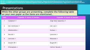 The cell organelles are enclosed by the plasma membrane including the cell nucleus. Cell Organelles Class Cell Fie Ms Mccabe Ppt Download