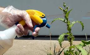 Composé de cristaux de sulfate de magnésium pur et de grande solubilité traditionnellement utilisés dans les bains. Du Vinaigre Comme Herbicide Jardinier Paresseux