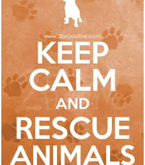 Keep Calm And Rescue Animals Work With Animals Dog Quotes Animal Rescue