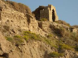 All photos and content copyright leon levy expedition to ashkelon. Ancient Roots Growing Over The Ruins Picture Of Ashkelon National Park Ashkelon Tripadvisor