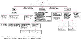 Flowchart To Follow In The Diagnosis Of Anemia According To