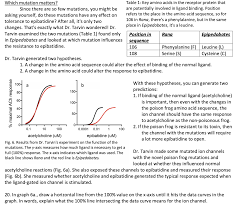 For words that start with n for example, you're sure to find the word you're. Solved Which Mutation Matters Table 1 Key Amino Acids I Chegg Com