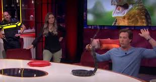 Does freek vonk have tattoos? Freek Vonk And His King Cobra Make An Impression At The Table At Humberto Show Netherlands News Live