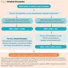 Image result for Medications in COPD Management