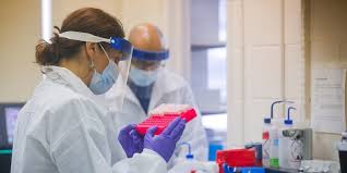 Into each cage also went two ferrets that had been given. Auris Medical Skyrockets 480 After Announcing Lab Test Results That Show Its Nasal Spray Could Protect Against Covid 19 Markets Insider