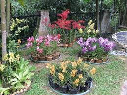 We did not find results for: Tripadvisor Orchid Park Taman Orkid Kuala Lumpur ØµÙØ±Ø© Taman Orkid Kuala Lumpur ÙÙØ§ÙØ§ÙÙØ¨ÙØ±