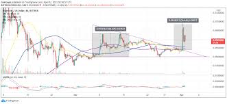 The price of dogecoin was volatile, but overall according to its chart, it surged in value and at some point, reached. Dogecoin Price Undergoes The Perfect Pump And Dump Storm After Elon Musk S Tweet Laptrinhx News