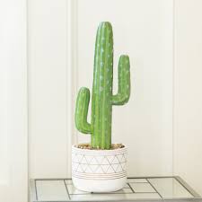 Bird fiy artificial plant faux fake saguaro cactus artificial potted plants in cement planter pot for home office decor indoor (saguaro cactus /10 inch). 15 H Artificial Plant Cactus In 5 Hand Painted Ceramic Pot One Size Overstock 31629320