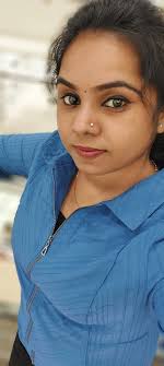 sauk centre hs baseball