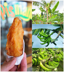 Tekstur pisang goreng madu crispy atau renyah di luar, tetapi lembut di bagian dalam. Pisang Goreng Cemilan Satu Ini Amen Group Restaurant Facebook