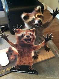 Where S Rory Jenny Lawson Furiously Happy Rory