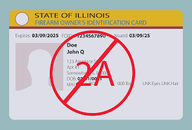 The petition asks a state court judge to direct the illinois state police (isp) to issue a foid card to the. Opinion Illinois Foid Cards Violate Second Amendment Rights The Daily Illini
