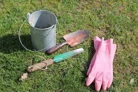 Comment lutter contre les chenilles processionnaires. Piege A Chenilles Processionnaires Au Jardin Forum De Jardinage