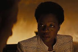 Image result for Disa walleri