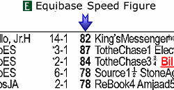 Equibase Learn More Lifetime Pps
