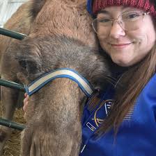 What to do for a sick geico lizard that stopped eating and is lethargic?