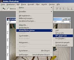Ihr könnt die bildgröße (dateigröße) verkleinern ohne die pixelmaße zu reduzieren. Wellensittich Bilder Verkleinern Mit Photoshop