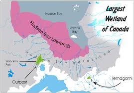 Hudson Bay Lowlands Ottertooth Hudson Bay Lowland Hudson