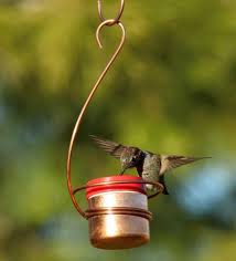 Here are 9 different diy ideas for making some of these feeders as beautiful gifts for bird lovers! Wild Birds Unlimited Nature Shop