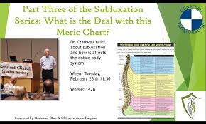 Part Three Of The Subluxation Series What Is The Deal With
