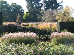 Andrew Wilson And Gavin Mcwilliam Of Wilson Mcwilliam Studio The Savill Rose Garden Windsor Great Park Surrey England Apld International Landscape Design A