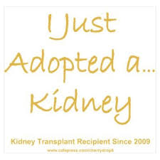Pin On Kidney S